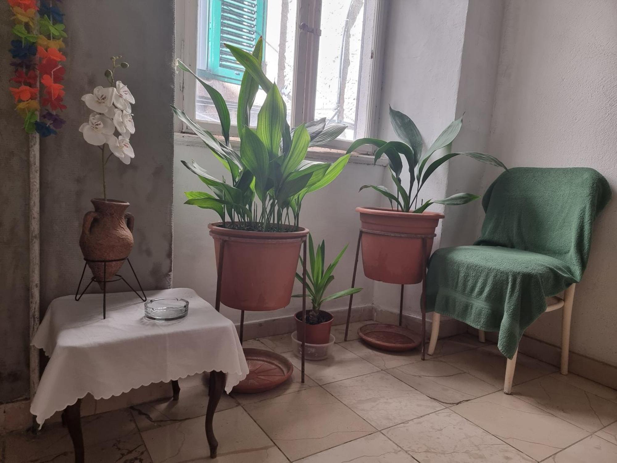 Center Room D16 In The Ancient Roman Palace Split Exterior foto